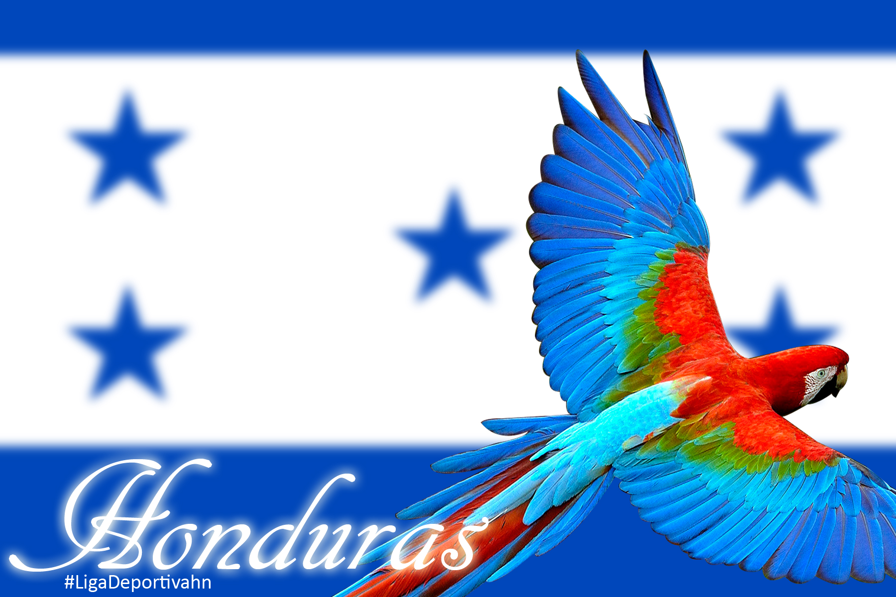 Desfiles patrios: ¡Honduras está de fiesta! 