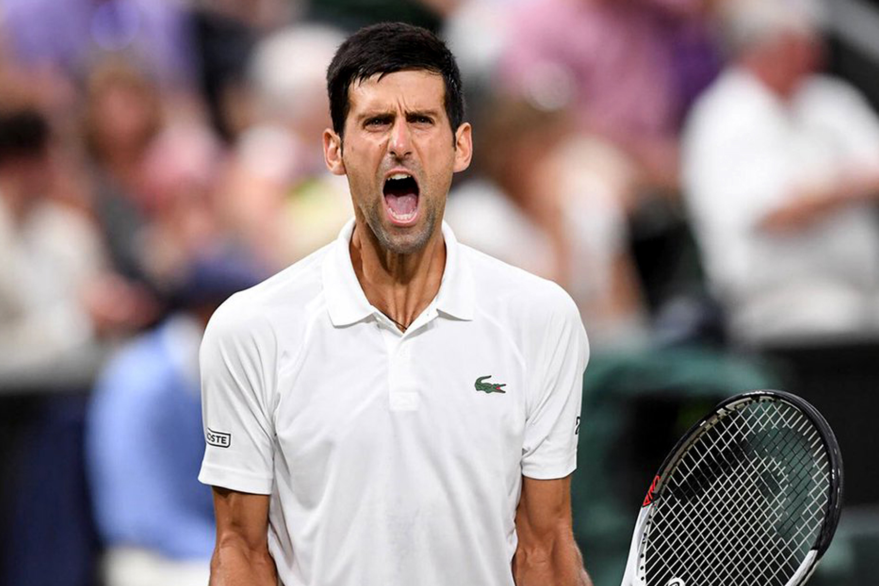 Djokovic gana su cuarto título en Wimbledon